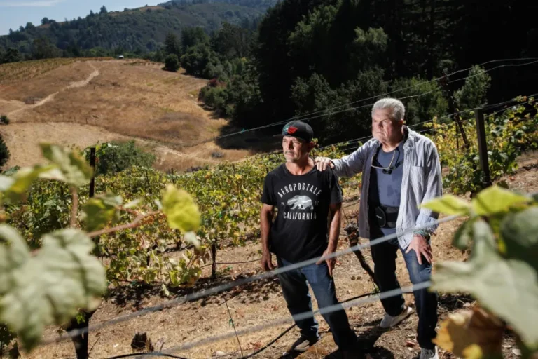 Vineyard Owner Claims $120K Fines for Employee RV Housing Violate Rights