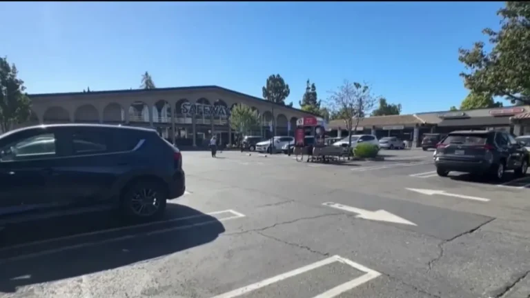 Dozens Storm Shopping Plaza in San Jose’s Willow Glen Neighborhood